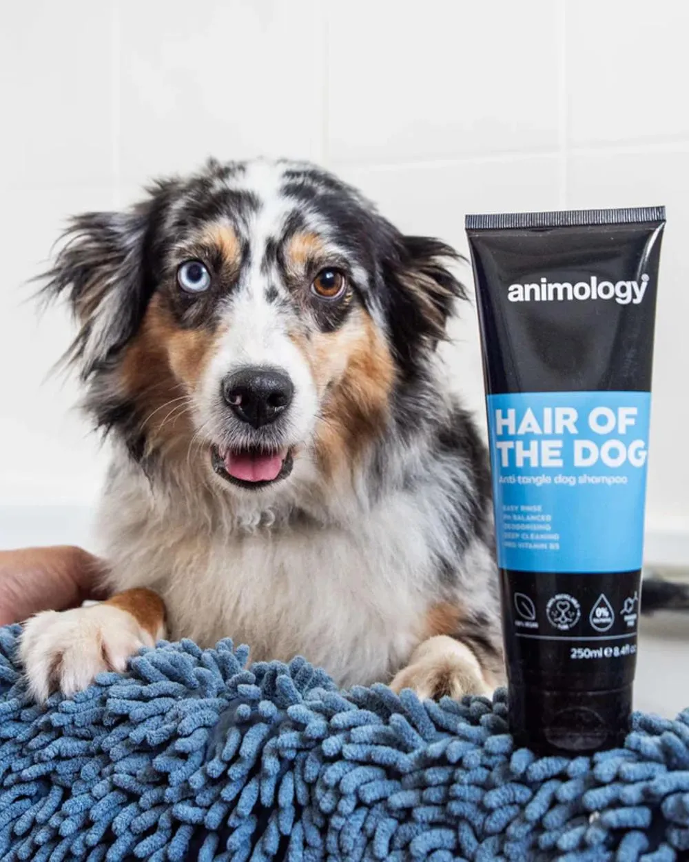 Animology Hair Of The Dog Shampoo 250ml